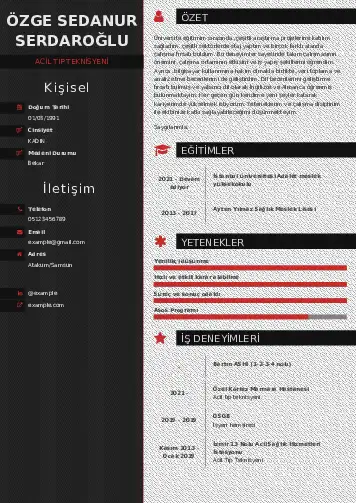 Acil Tıp Teknisyeni CV Örnekleri cv indir